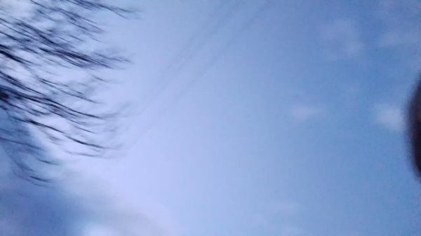 Халид тигр. Дагестан