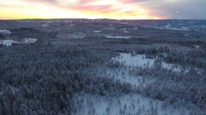 Ты снишься мне_ автор и исполнитель Олег Сапегин