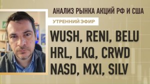 Анализ рынка акций РФ и США/ WUSH, RENI, BELU, HRL, LKQ, CRWD/ NASD, MXI, SILV
