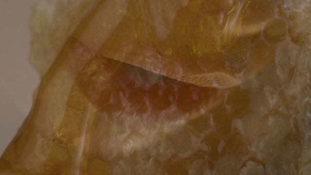 Чувствуй Юг