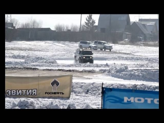 Змейка Номад