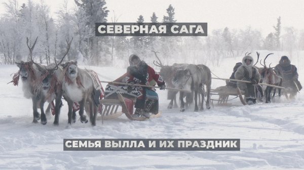 Северная сага: Семья Вылла и их праздник | Тут султам
