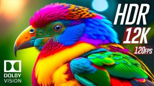 Лучшее Dolby Vision 2K HDR 120fps