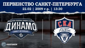Динамо 09 - СКА Серебряные Львы 09 / 22.02.2026