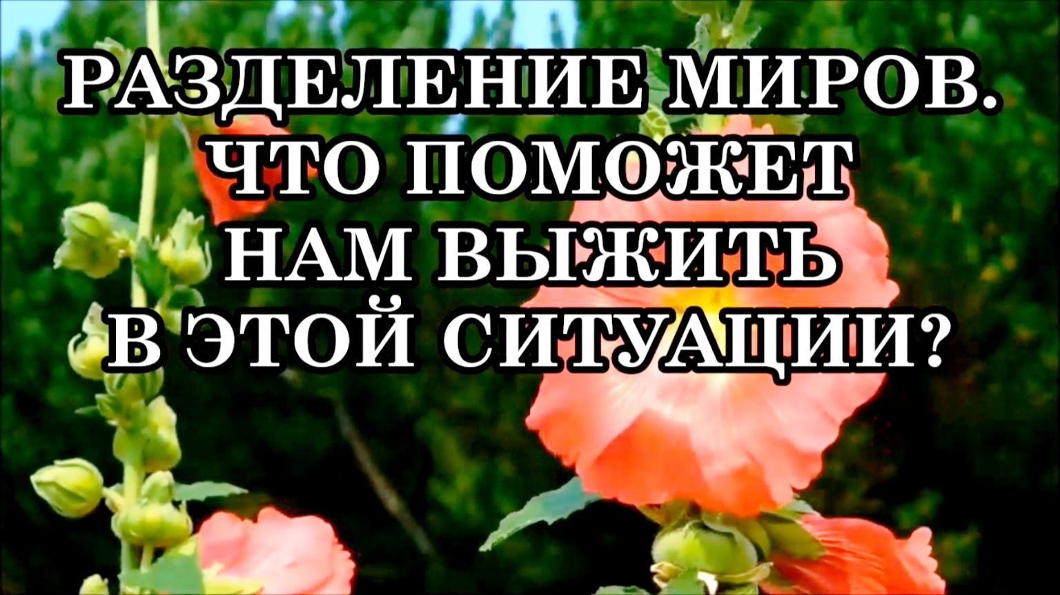 ИДЕТ РАЗДЕЛЕНИЕ МИРОВ. ЧТО ПОМОЖЕТ НАМ ВЫЖИТЬ В ЭТОЙ СИТУАЦИИ смотреть онлайн
