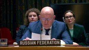 Statement by Permanent Representative Vassily Nebenzia at a UNSC Briefing on Libya, February 18 2026