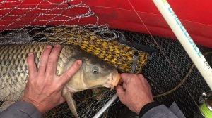 Зеленга Астраханская область Рыбалка 2 часть Хороший Улов