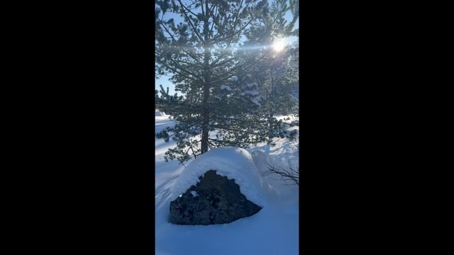 Домики Ихоярви на Ладоге зима 2026 смотреть онлайн