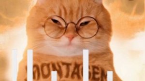 LENAR-MONTAGEM MIAU-SLOWED-full version-PHONK.mp4