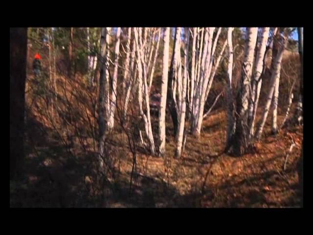 Субару Леоне3 Снегокоп.avi