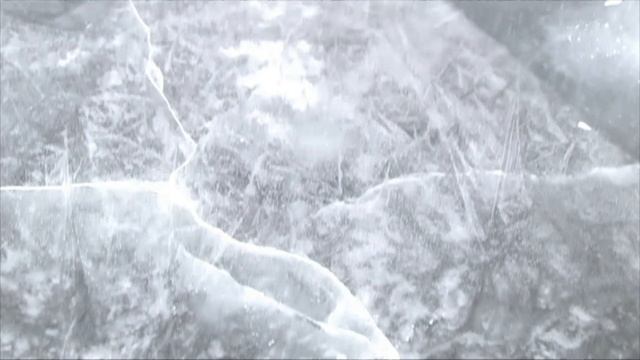 Рыбинка. Налим. 2015 г.