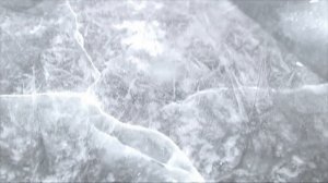 Рыбинка. Налим. 2015 г.