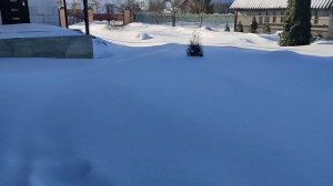 Мой завтрак!!! Разгребаем снег,жду Колю!!!