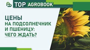 Цены на подсолнечник и пшеницу: чего ждать? | TOP Agrobook: обзор аграрных новостей