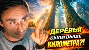 В древности росли гигантские деревья