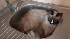 РЕЗУЛЬТАТИВНАЯ РЫБАЛКА