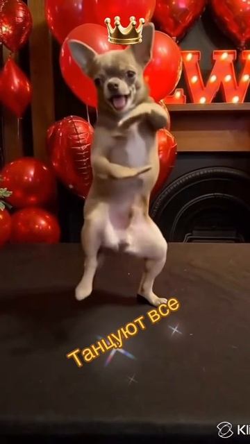 Танцуют все)))