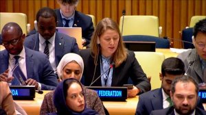Выступление М.В.Заболоцкой на первой регулярной сессии Структуры «ООН-женщины»