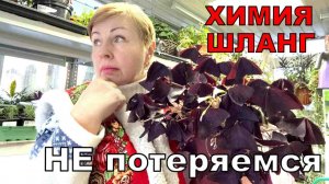 Новинки для садового сезона. Как нам не потеряться_ Все явки оставила в описании