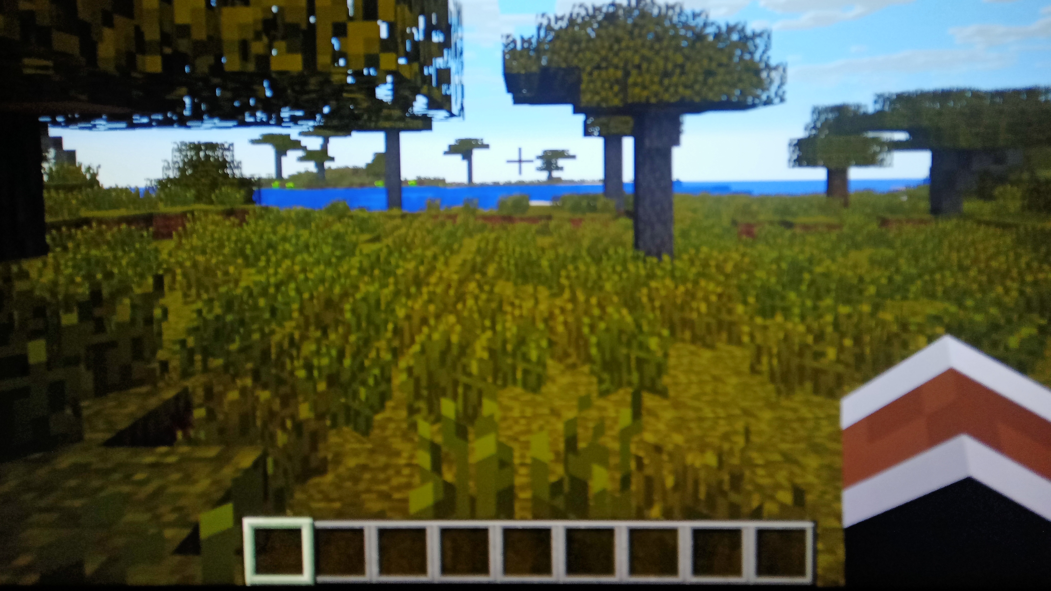 играю в Майнкрафт