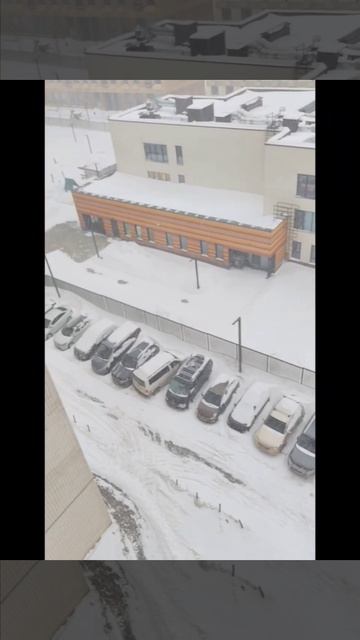 video_2026-02-19_16-23-36