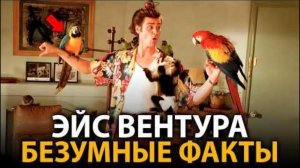 Эйс Вентура - удивительные факты, о которых мало кто знает
