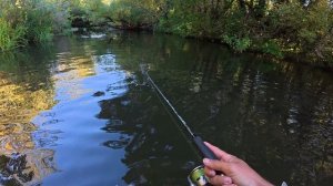 Этот воблер творит чудеса! На малых и заросших реках порой ему нет равных! Рыбалка на спиннинг.