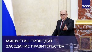 Мишустин проводит заседание правительства