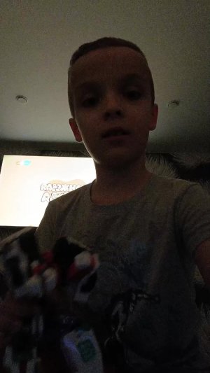 Гоши нету дома