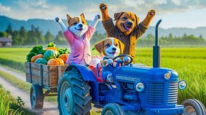 Щенок отказывается отдыхать 🚑🐶 Работает до изнеможения, чтобы спасти своего больного папу