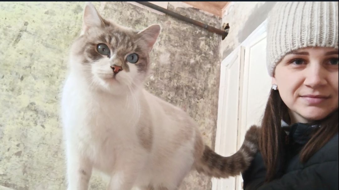 КУПИЛИ КВАРТИРУ/ОБРЕЛА ДОМ И СЕМЬЮ, НЕ ПРОСТАЯ СУДЬБА/РЕМОНТ/ смотреть онлайн