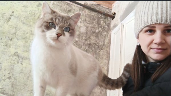 КУПИЛИ КВАРТИРУ/ОБРЕЛА ДОМ И СЕМЬЮ, НЕ ПРОСТАЯ СУДЬБА/РЕМОНТ/