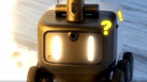 IQOO Х Яндекс Х ЭВА