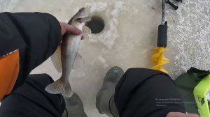 РЫБАЛКА ЗИМОЙ . СУДАК в ФЕВРАЛЕ  2026