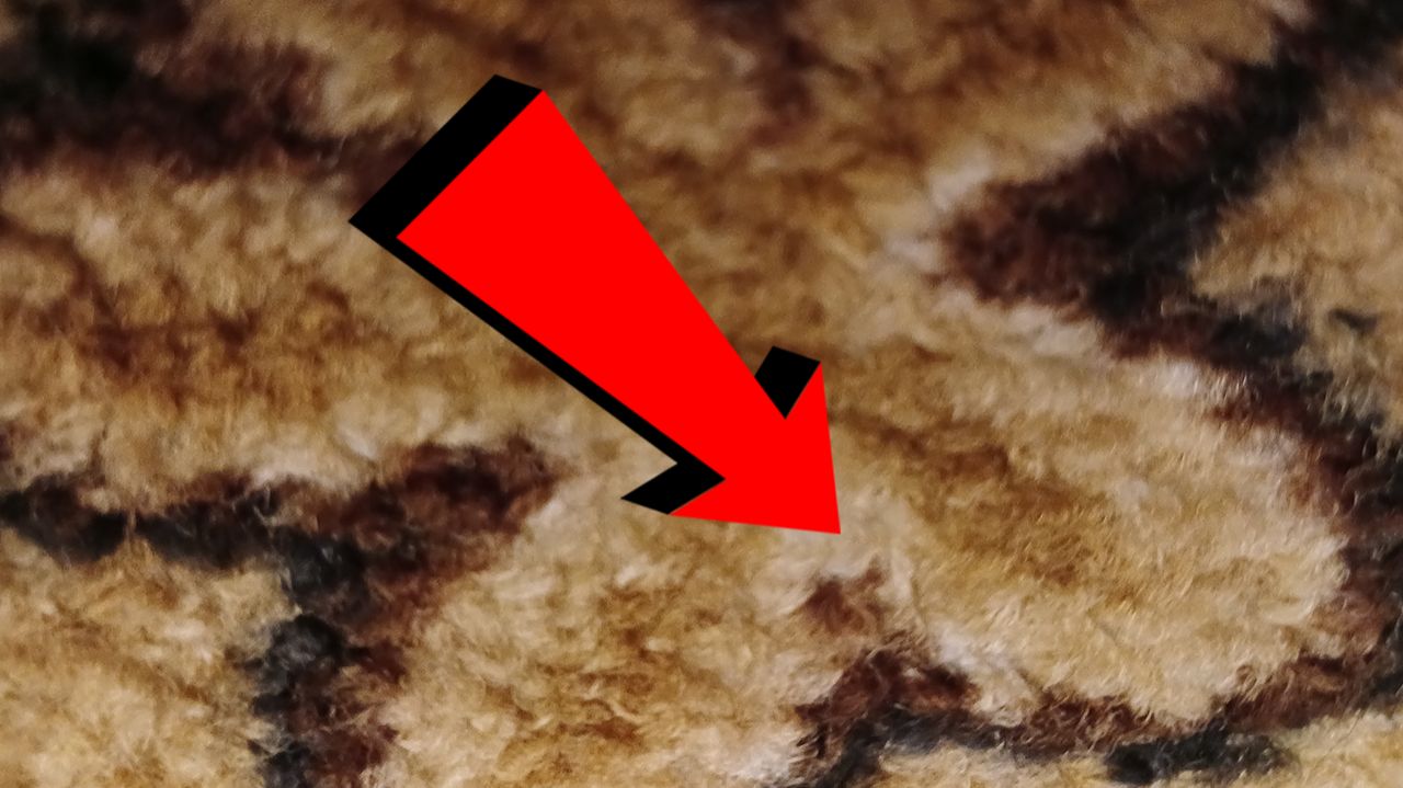 Как почистить ковёр за 3 минуты!!!!!!! смотреть онлайн