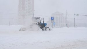 В Подмосковье пришел «Валли»