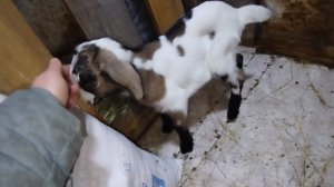 19-02-2026 Друг.