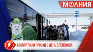К месту проведения Дня оленевода будут ездить бесплатные автобусы