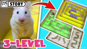 Большой трехъярусный картонный лабиринт для хомяка 🐹 Хомяк Хомура