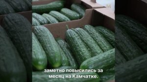 ГЛАВНОЕ ЗА МИНУТУ | 19.02.26 #камчатка #новости