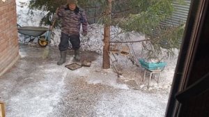 холодное утро