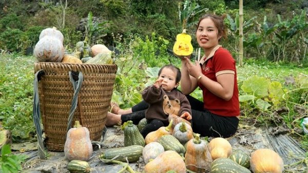 Мама поневоле. Дуонг. Собираю со своим ребенком урожай гигантской тыквы для продажи. Серия 56