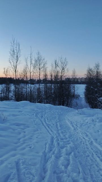 19.02.26. #доброеутро смотреть онлайн