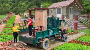 Покупаю мебель для дома. Кровать, шкаф, стол и стул, перевожу грузовиком. Серия 30. Ли Фук Ви