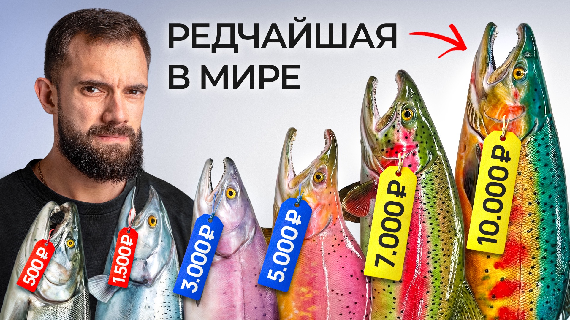 Я Приготовил Все ЭКЗОТИЧЕСКИЕ Виды Лосося смотреть онлайн