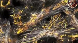 Работа митохондрий в раковых клетках