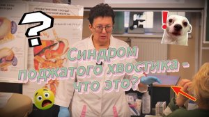 Ребенок боится темноты и спит с мамой? У него «синдром поджатого хвостика».