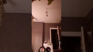 АЛЛАГЬ самодостаточный ❤️