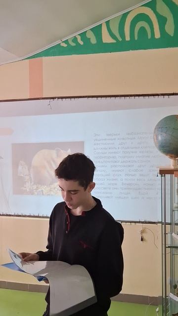 Пономаренко Артём 8А - Особенности размножения сирийских хомяков смотреть онлайн