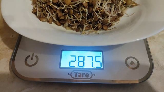 Живу на цельном растительном питании. 13.02.2026